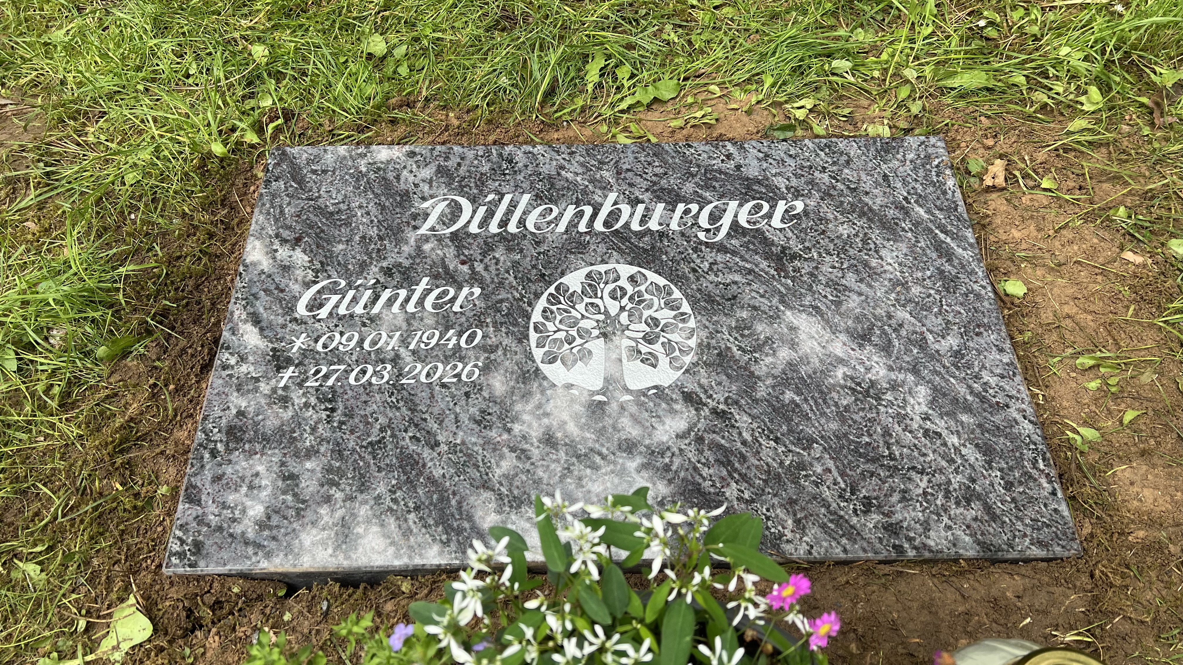 Rasenplatte Dillenburger, Koblenz